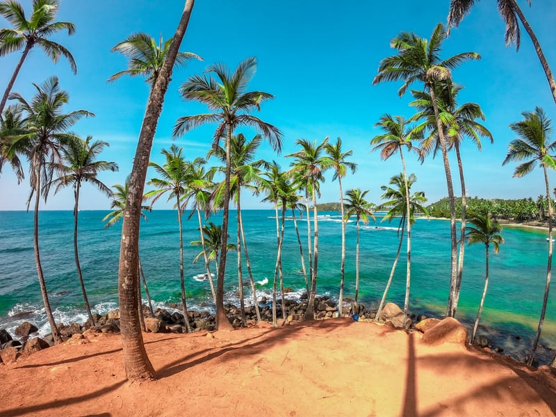 Sri Lanka Tea, Temples and Coast